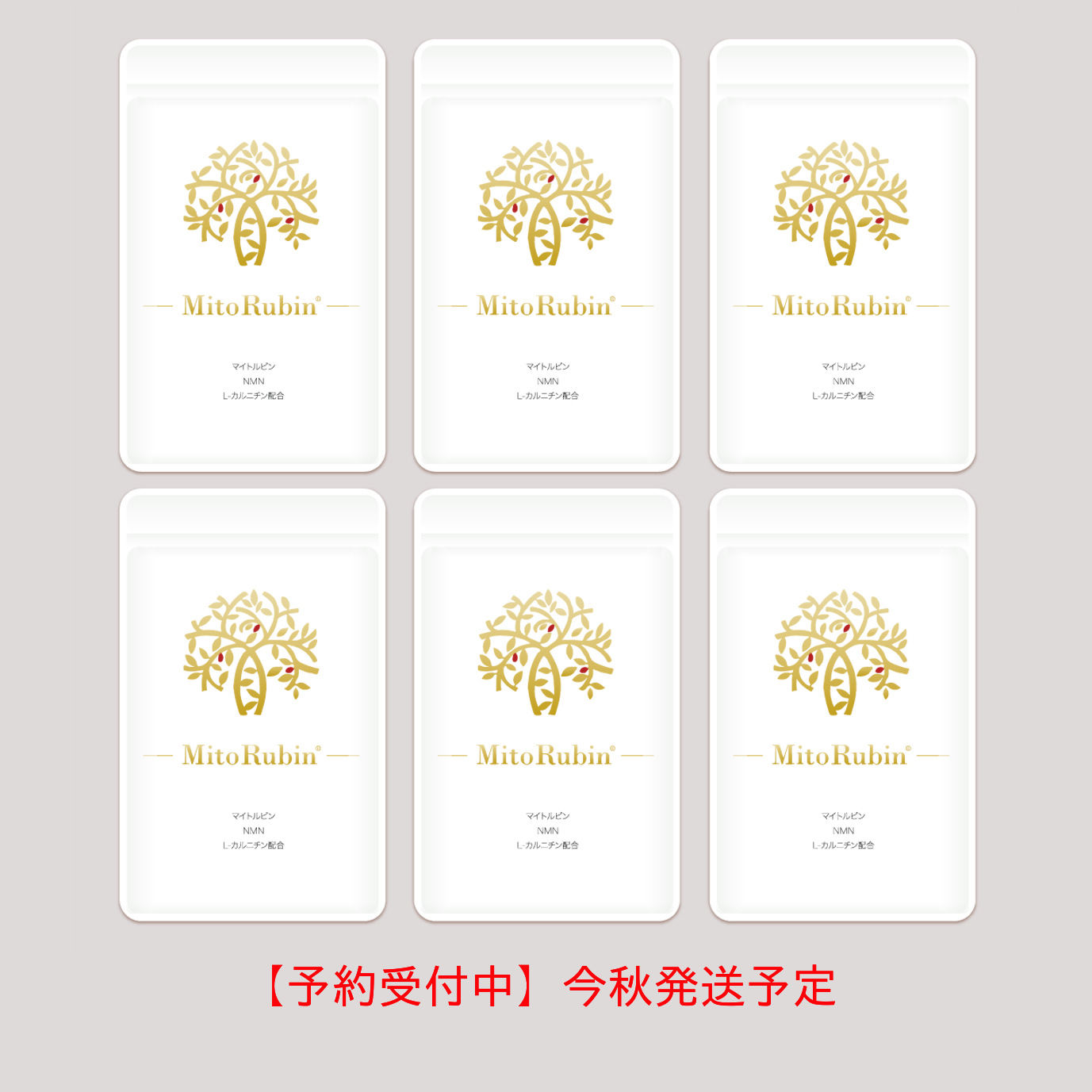 ミフユさま専用品 世界初のミトコンドリアサプリメント | MitoRubin®公式ECサイト